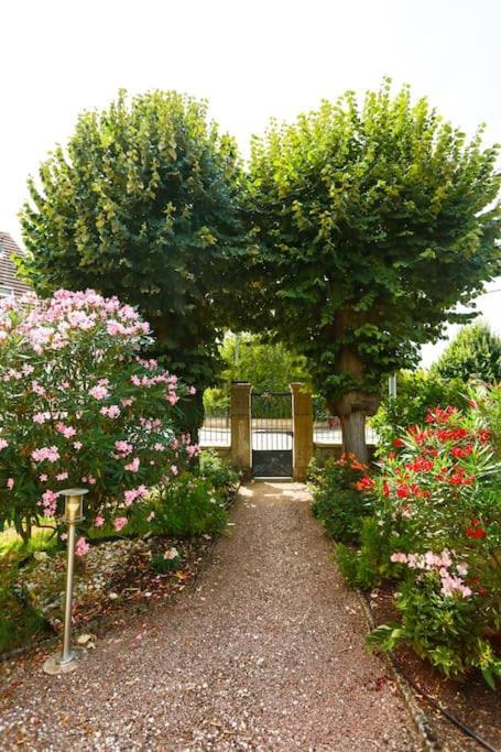 F3 80 M2 Longere Plain Pied Au Centre Auxonne. Villa Bagian luar foto